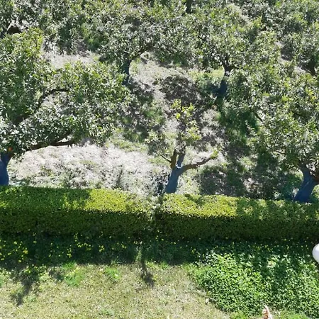 Casa Colamaio Πανσιόν *